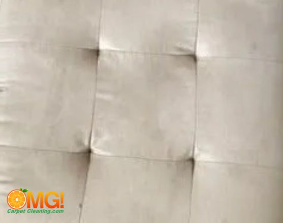 OMG Carpet Cleaning Upholstery After