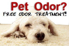 Pet Odor Removal Alpharetta GA